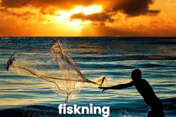 fiskning